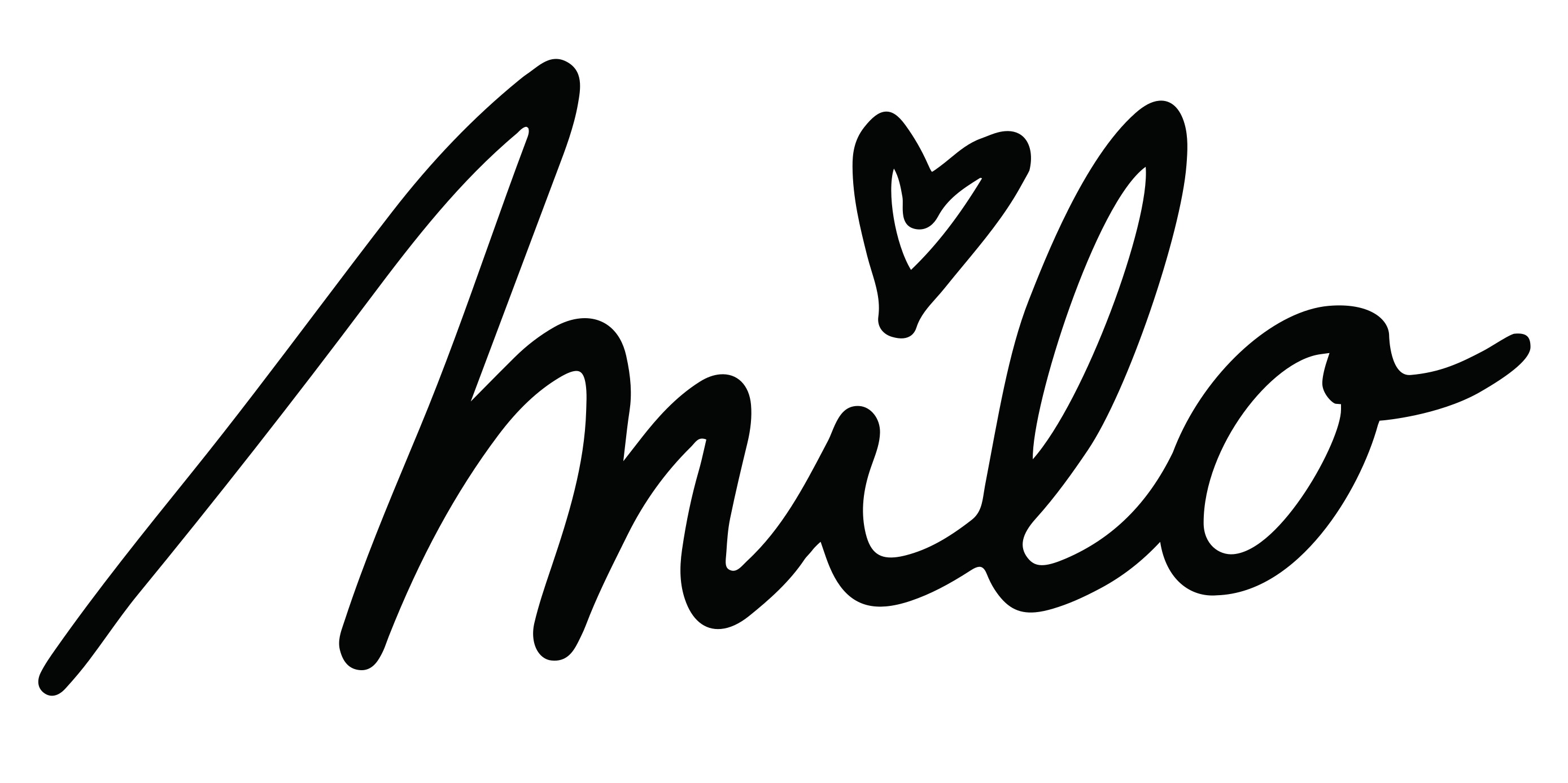 Sponsor